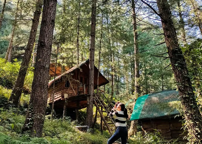 Livingstone Ojuven Treehouses Shimla